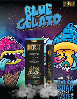 Gemini_Generated_Image_2kjnxd2kjnxd2kjn