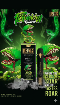 Gemini_Generated_Image_sq1e40sq1e40sq1e