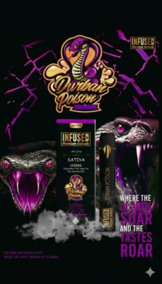 Gemini_Generated_Image_v1u2r3v1u2r3v1u2